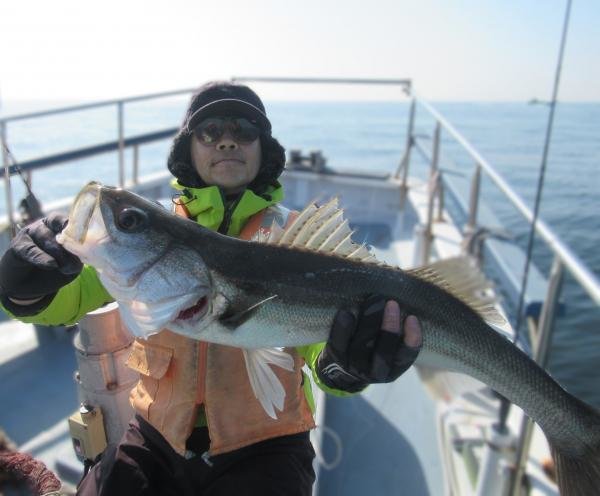 シーバス(スズキ)