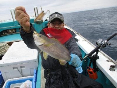 イサギ(イサキ)