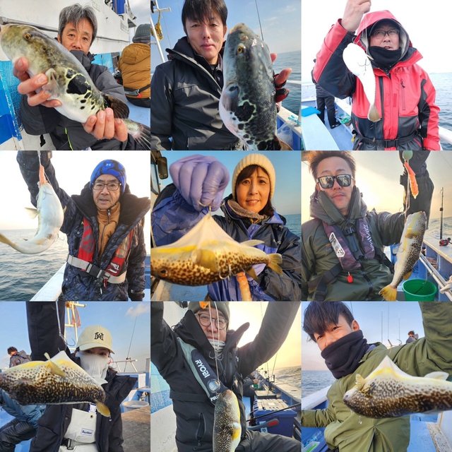 ショウサイフグ