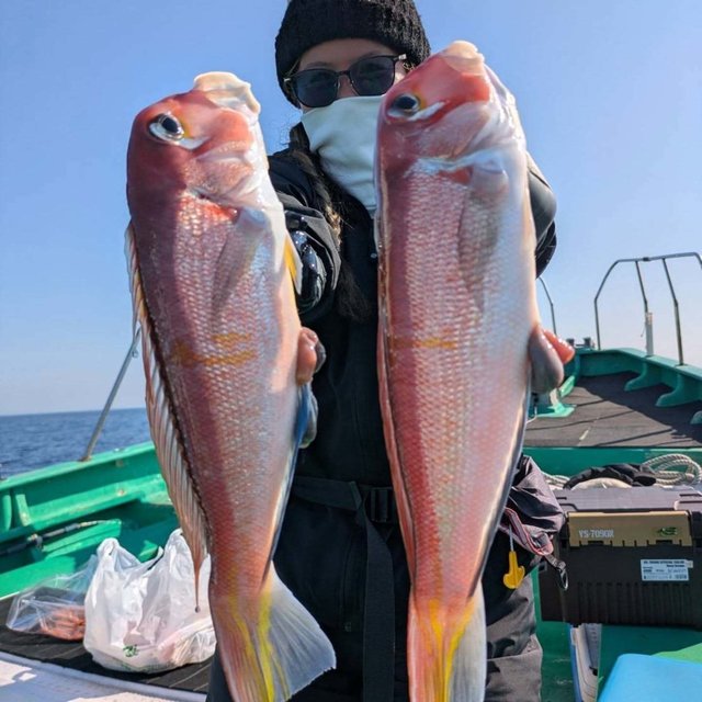 アマダイ(アカアマダイ)