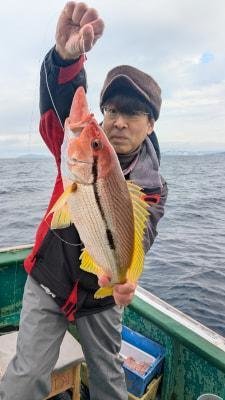 タルミ(ヨコスジフエダイ)