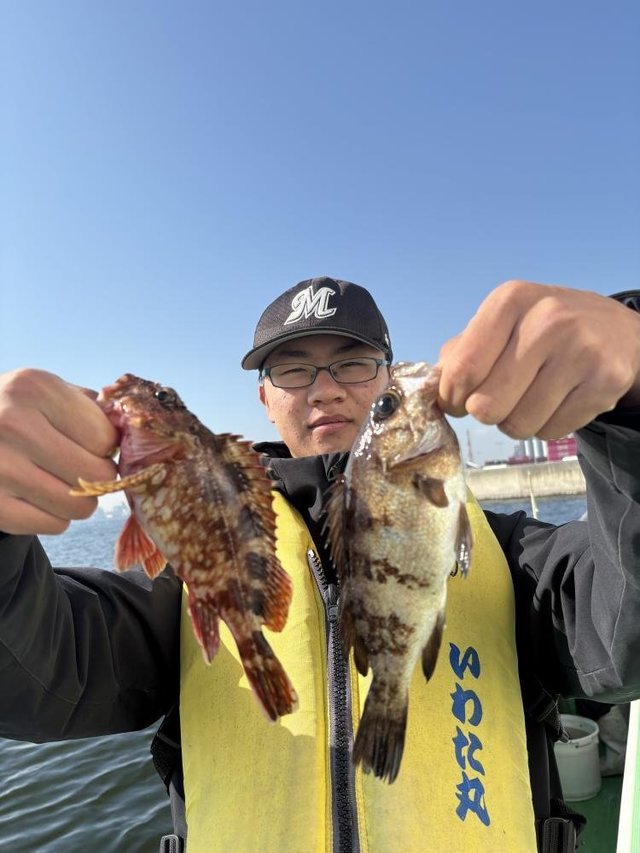 カサゴ・メバル