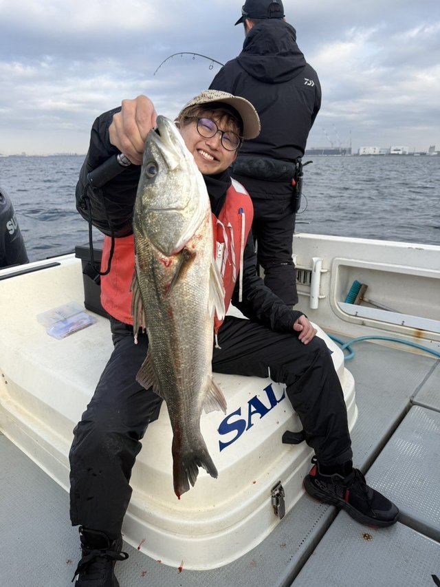 シーバス(スズキ)