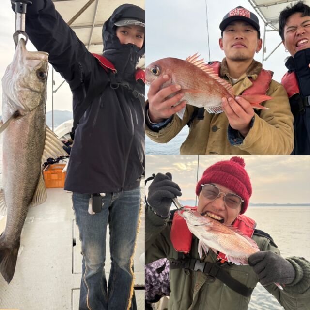 マダイ・セイゴ(スズキ)