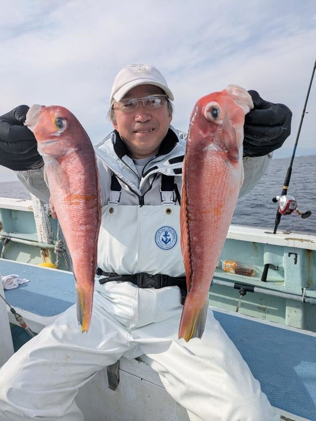 アマダイ(アカアマダイ)