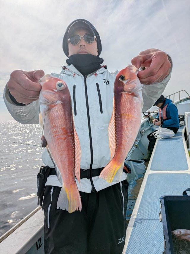 アマダイ(アカアマダイ)