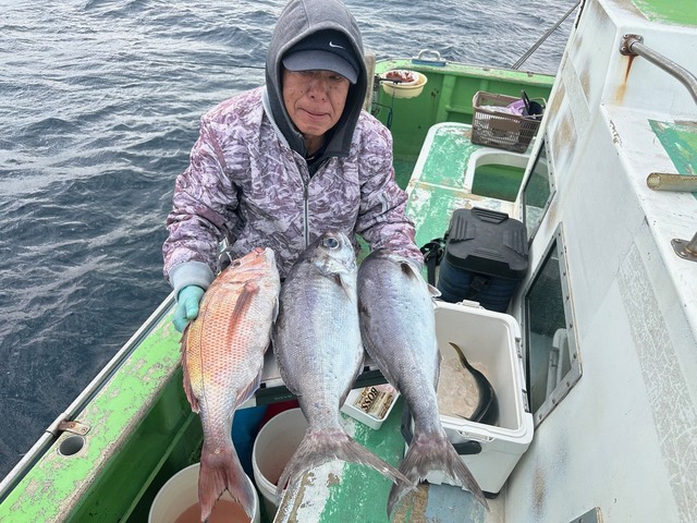 ハナダイ(チダイ)・メダイ