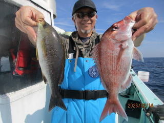 マダイ・イサキ