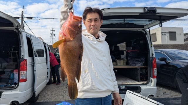 アズキマス(キジハタ)