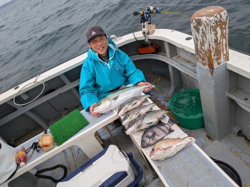 マダイ・クロダイ・イシダイ・ワラサ(ブリ)