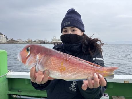 アマダイ(アカアマダイ)