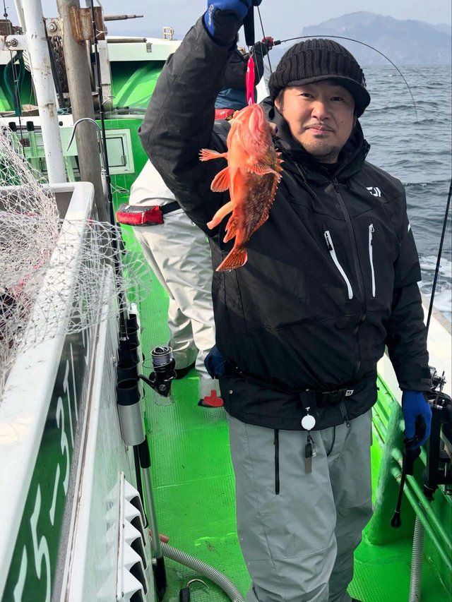 ウッカリカサゴ