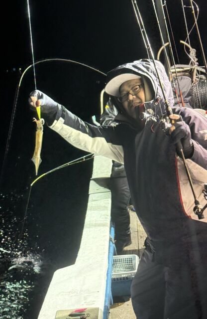 イカ(ヤリイカ)