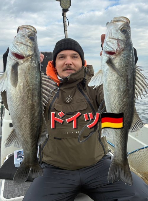 シーバス(スズキ)