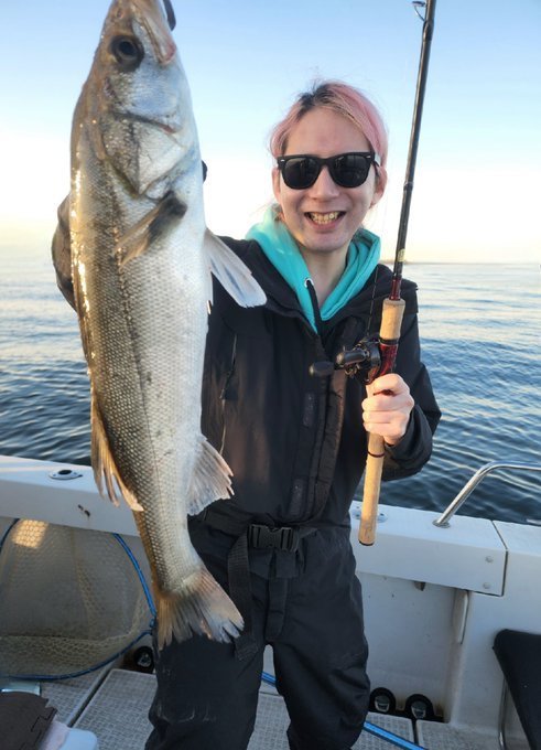 シーバス(スズキ)