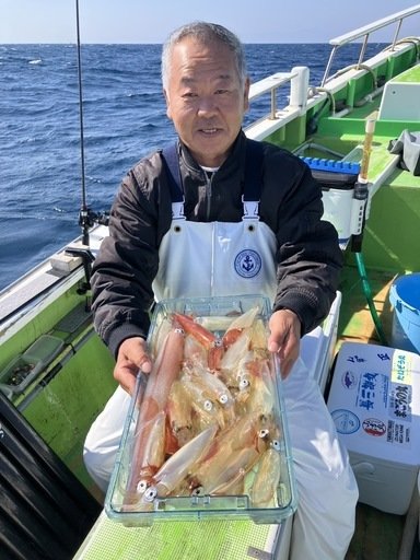 マルイカ(ケンサキイカ)