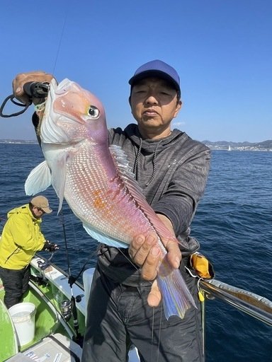 アマダイ(アカアマダイ)