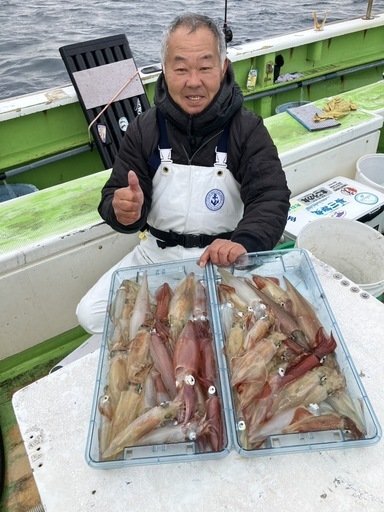 マルイカ(ケンサキイカ)