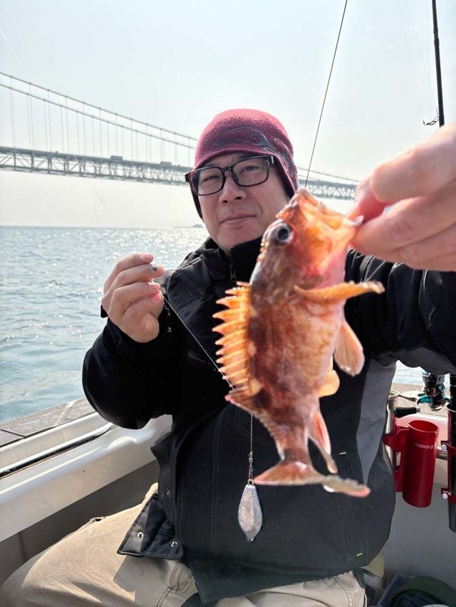 ガシラ(カサゴ)