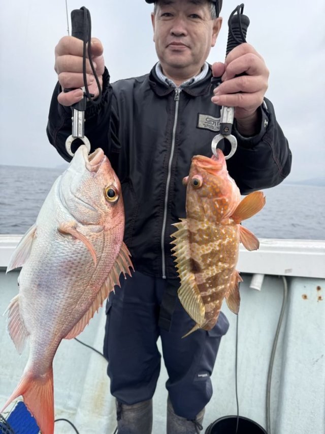 マダイ・アコウ(キジハタ)