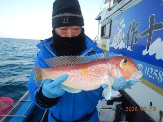 アマダイ(アカアマダイ)