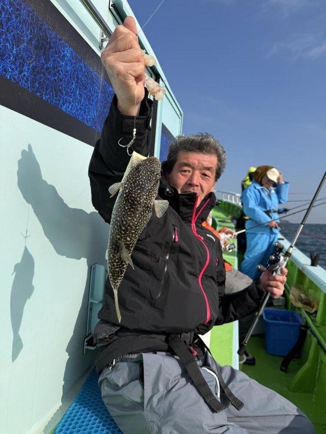 フグ(ショウサイフグ)