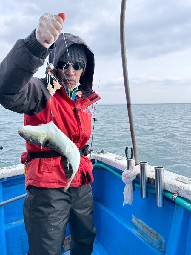 ショウサイフグ