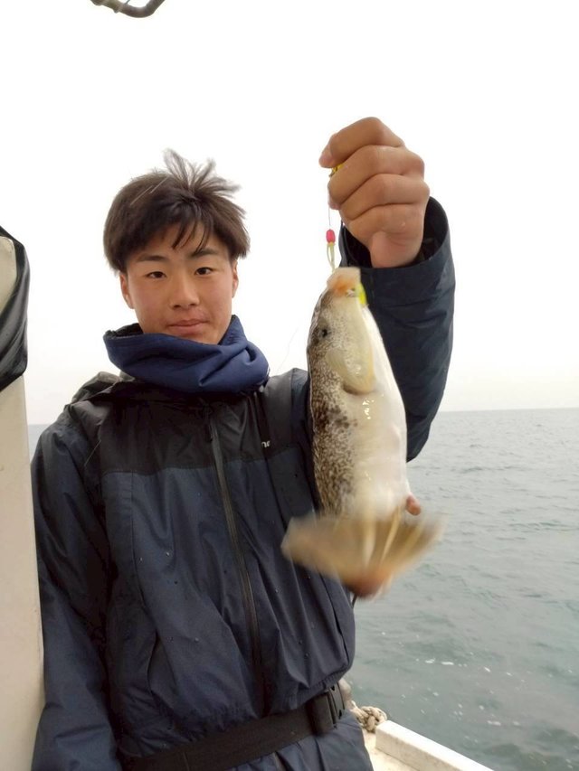 ショウサイフグ