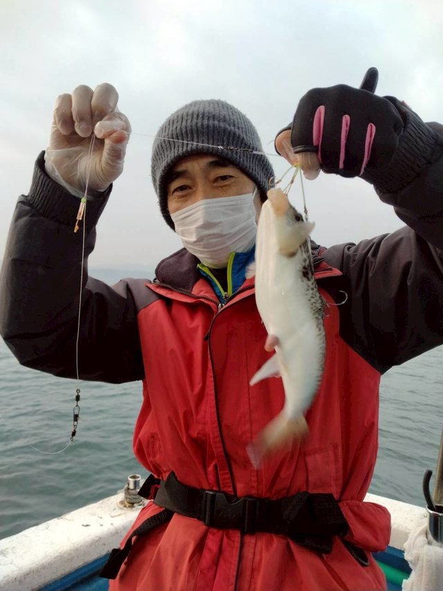 ショウサイフグ