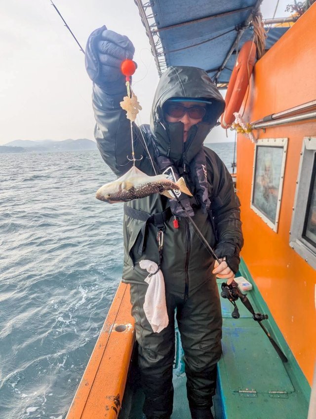 ショウサイフグ