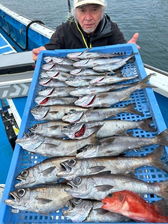 クロムツ・ユメカサゴ