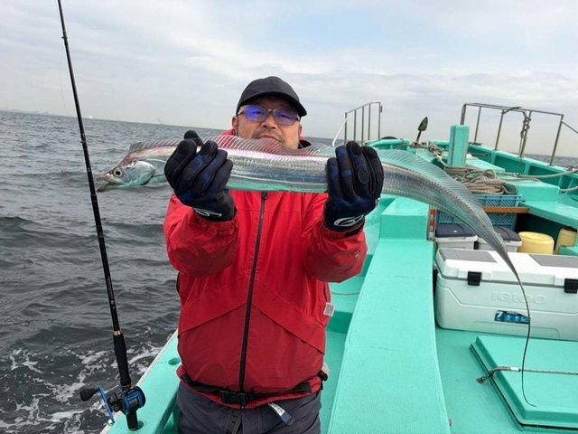 タチ(タチウオ)