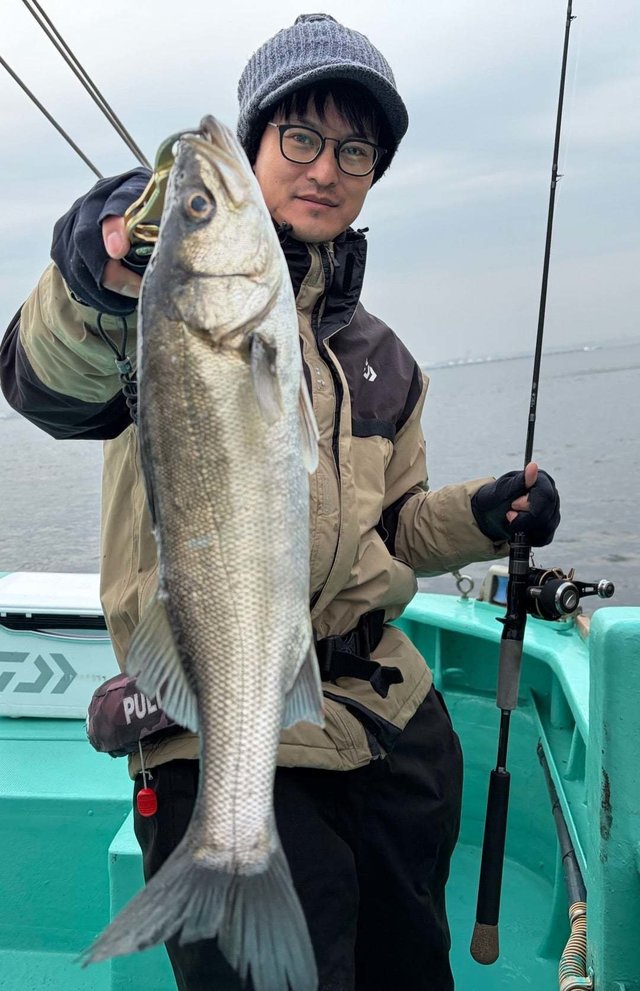 シーバス(スズキ)