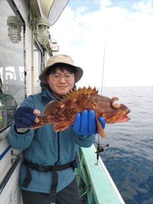 ガシラ(カサゴ)