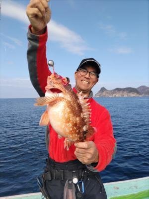 ガシラ(カサゴ)