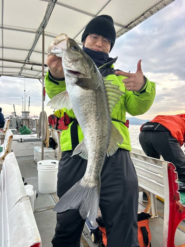 シーバス(スズキ)