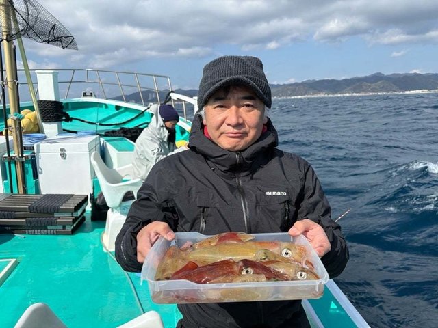 マルイカ(ケンサキイカ)