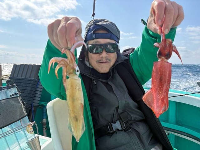 マルイカ(ケンサキイカ)