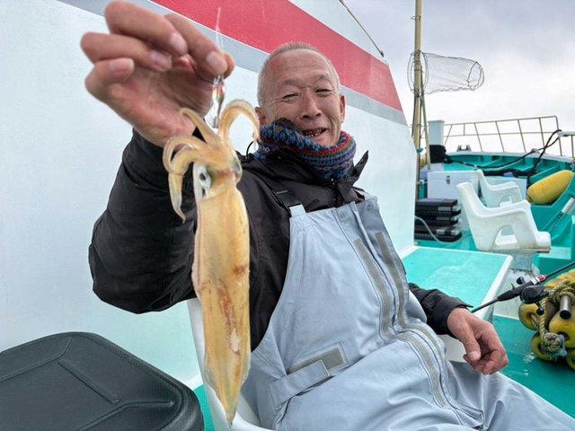 マルイカ(ケンサキイカ)