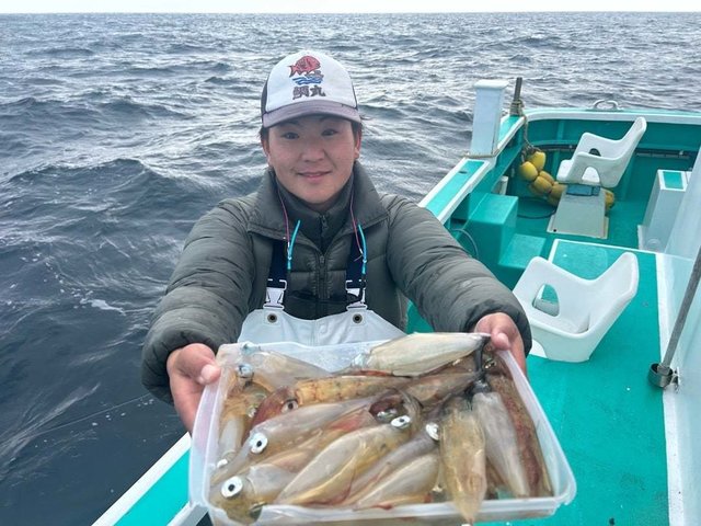 マルイカ(ケンサキイカ)