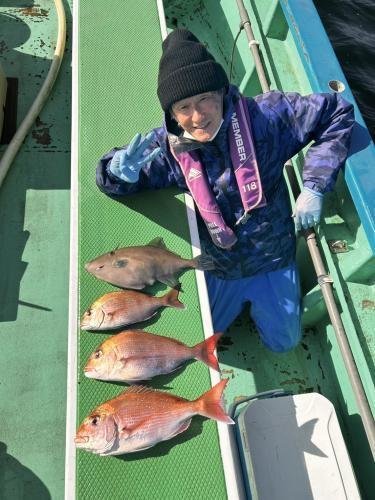 マダイ・ウマヅラ(ウマヅラハギ)