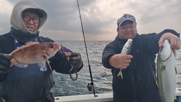 マダイ・アジ(マアジ)・イナダ(ブリ)