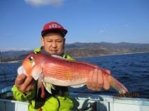 アマダイ(アカアマダイ)