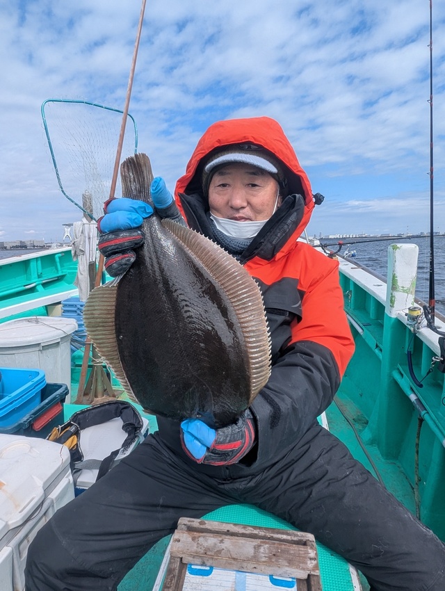 カレイ(マコガレイ)