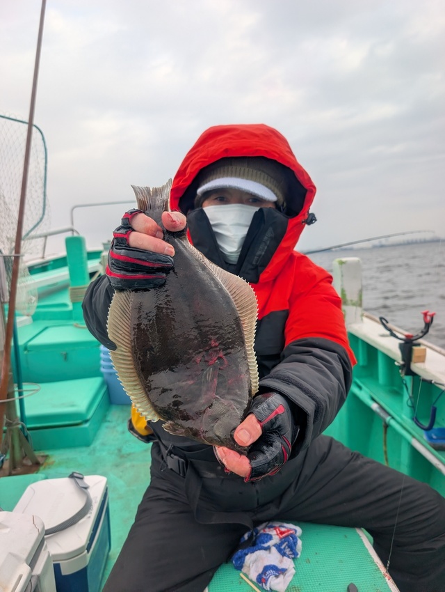 カレイ(マコガレイ)