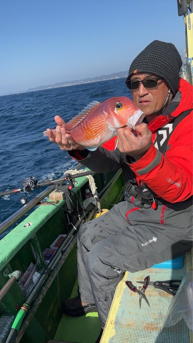 アマダイ(アカアマダイ)