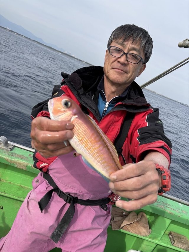 アマダイ(アカアマダイ)