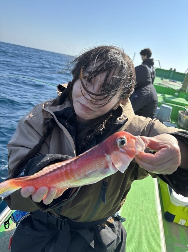 アマダイ(アカアマダイ)