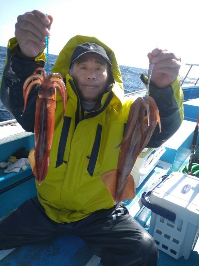 イカ(スルメイカ)