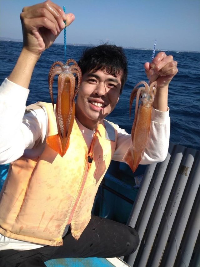 イカ(スルメイカ)